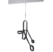 Fetish Fantasy Swing