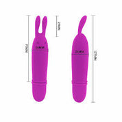 Pretty Love Boyce Rabbit Bullet Vibrator